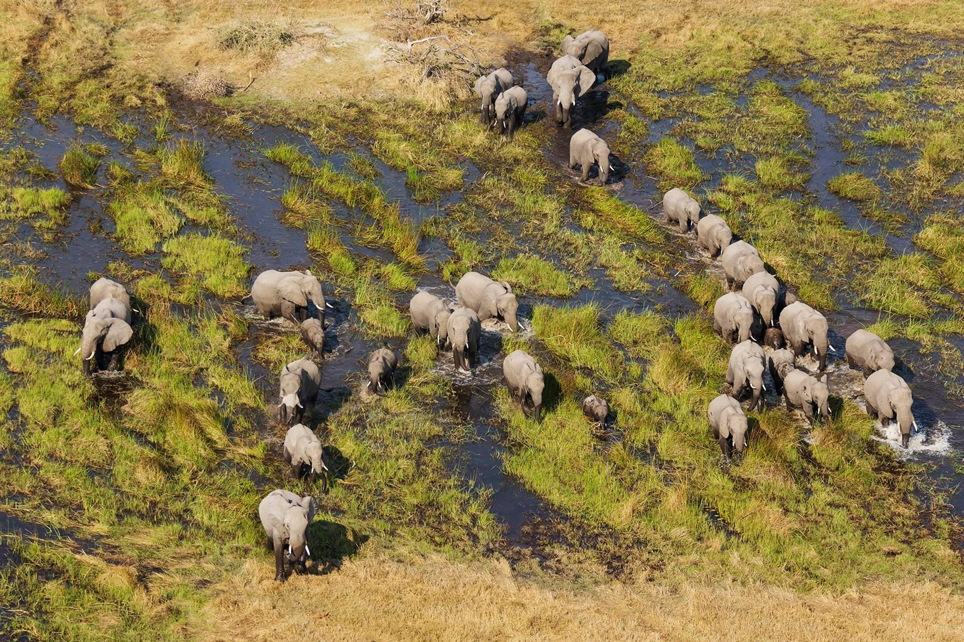 6 Okavango Delta from the air