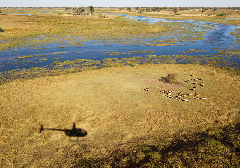 Okavango